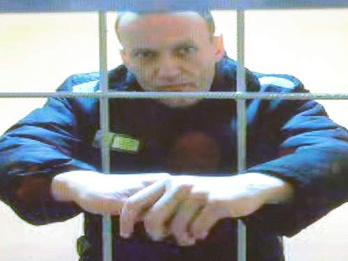 Навальный* вышел на связь, подтвердив, что находится в ИК 3 на Ямале Навальный* вышел на связь, подтвердив, что находится в ИК 3 на Ямале