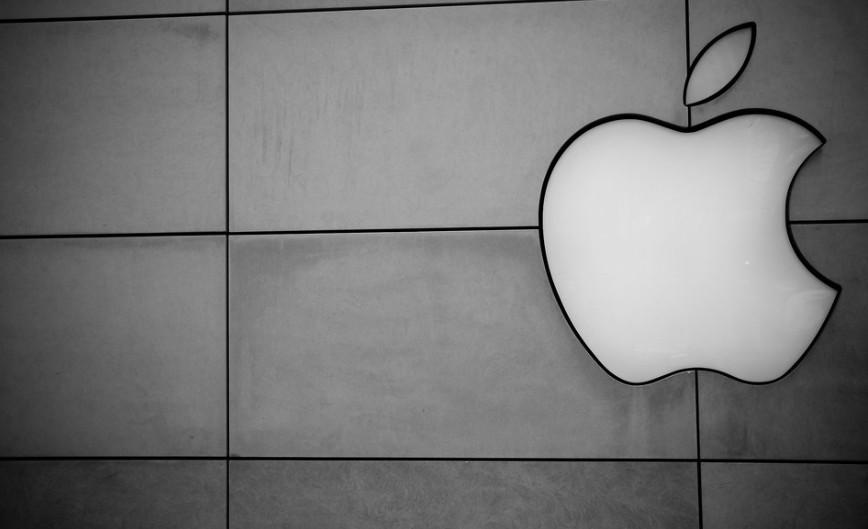 В Сети опубликовано первое изображение чехла для Apple Vision Pro
