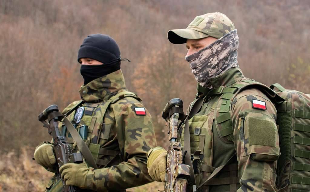 Наёмники из Польши называют военнослужащих ВСУ «быдлом» и «пушечным мясом» – польский депутат Наёмники из Польши называют военнослужащих ВСУ «быдлом» и «пушечным мясом» – польский депутат