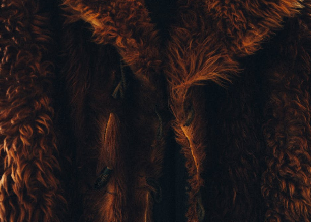 В Саратове чиновникам запретили приходить на встречи с населением в шубах