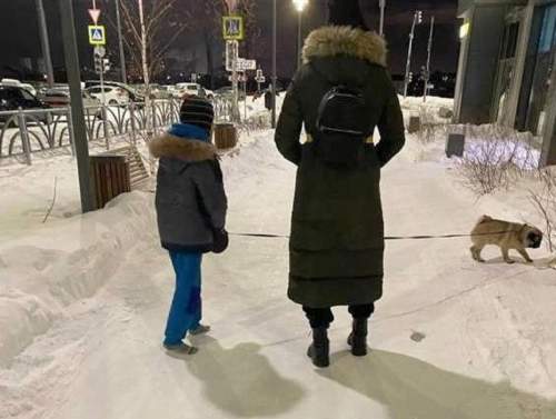 В Екатеринбурге мать вывела сына в носках на мороз, чтобы он посочувствовал собаке (ФОТО)
