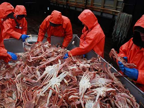Генпрокуратура подала иски против добытчиков краба почти на 400 млрд рублей