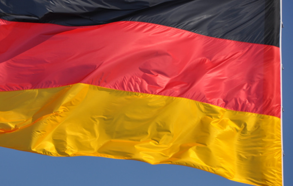 Руководитель движения «Мы вместе с Россией» Рогов заявил о рецидиве 1930-х годов в Германии