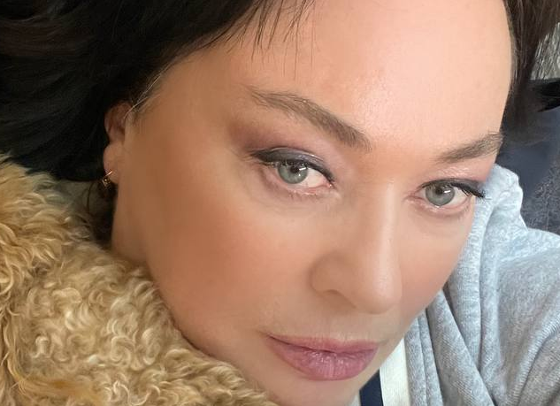 Лариса Гузеева заболела и разбила лоб Лариса Гузеева заболела и разбила лоб