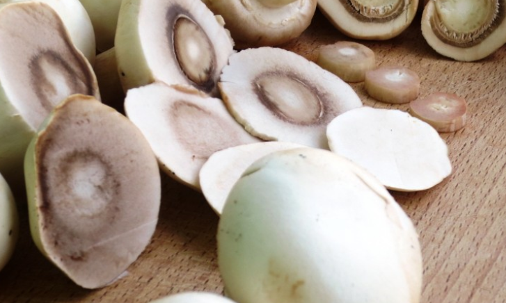 Эксперт Буханцев назвал шампиньоны лучшим продуктом для хорошей работы мозга и сердца