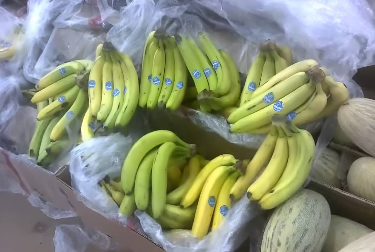 Россия купит бананы у Индии, а не у Эквадора, решившего поддержать Украину