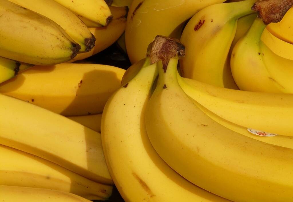 Импорт разрешен: почему в России сдали назад и позволили проукраинскому Эквадору ввозить бананы