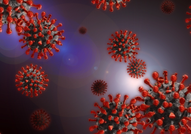 Найдена диета для снижения риска заражения коронавирусом