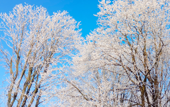 В школах Челябинска из-за морозов отменены школьные занятия