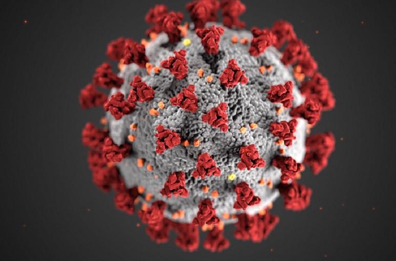Эксперт Роспотребнадзора Говорун усомнился в гипотезе о старении мозга из-за COVID-19