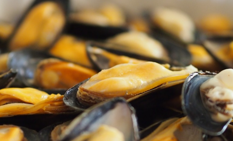 Диетолог Джутова заявила, что мидии и кальмары являются отличным источником белка