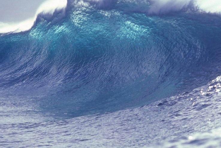 Тропический шторм Элеонора не даёт туристам из России покинуть Маврикий