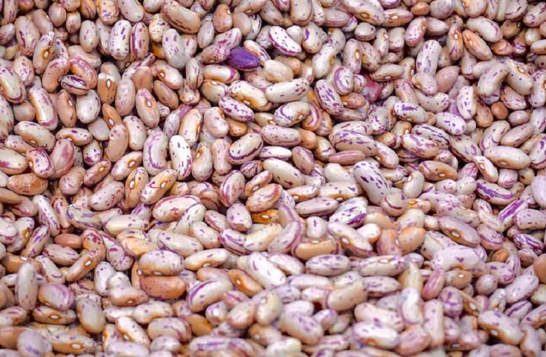 Диетолог Гинзбург рассказал, кому надо ограничить приём фасоли