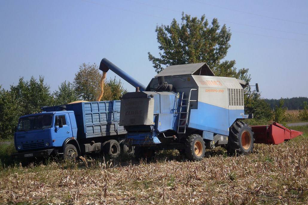 Еврокомиссия призвала Киев поискать рынки сбыта украинского зерна вне Европы