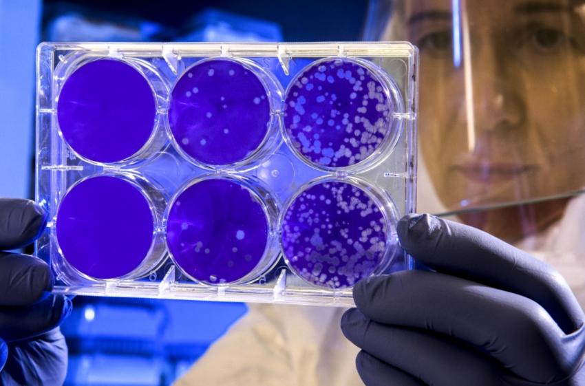 Российские туристы пожаловались на вспышку вируса на курортах Карачаево-Черкессии