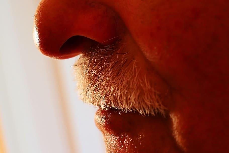 Лор Владимир Зайцев предупредил о редком типе насморка, когда из носа течет жидкость спинного мозга