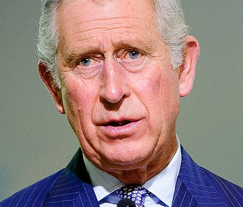 Карл III втайне от принца Гарри разработал план по передаче короны принцу Уильяму Карл III втайне от принца Гарри разработал план по передаче короны принцу Уильяму