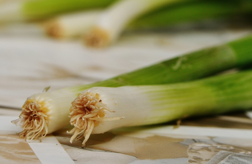 Нутрициолог Коробейникова заявила, что зелень крайне полезна в весеннем рационе