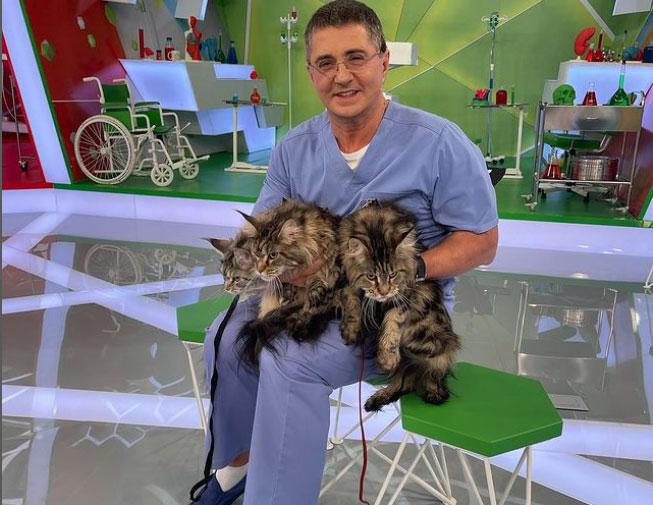 Доктор Мясников назвал плюсы и минусы белковой диеты