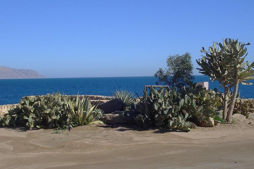 Эксперт по туризму Скобелев перечислил три подходящие страны для весеннего отдыха
