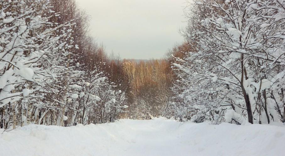 Свердловские доктора спасли 70-летнюю пенсионерку из глухой тайги Свердловские доктора спасли 70-летнюю пенсионерку из глухой тайги