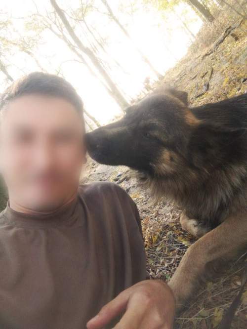 Бойцы ВС РФ сняли на видео подвиг собаки, сбившей собой дрон ВСУ (ФОТО, ВИДЕО)