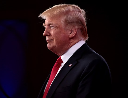 Дональд Трамп назвал нелегальных мигрантов «умалишенными»