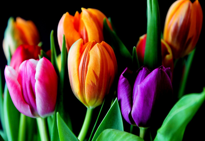 Жительницы ХМАО рассказали о необычных подарках на 8 марта Жительницы ХМАО рассказали о необычных подарках на 8 марта