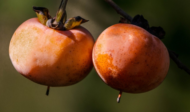 Нутрициолог Кузина назвала лучшие продукты для укрепления иммунитета весной