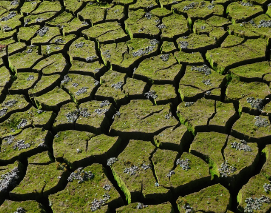 В Индии климатический кризис привел к росту количества операций по удалению матки