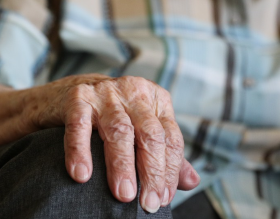 Эксперт по старению Майер перечислила полезные привычки для долголетия