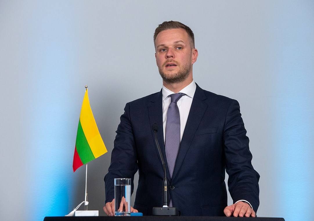 Глава МИД Литвы призвал союзников упразднить все красные линии в отношении России