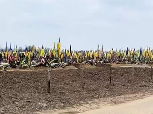 В Харькове сняли на видео кладбище с тысячами свежих могил (ВИДЕО)