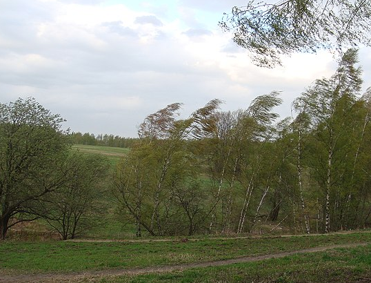 Во Франции из-за урагана «Моника» погибли шесть человек