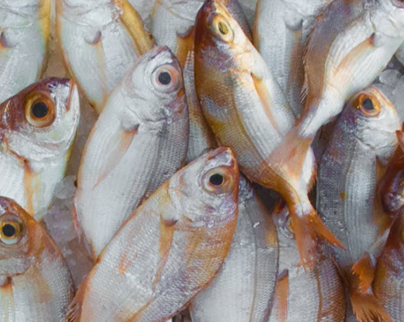 Эксперты сообщили, что избавиться от запаха жареной рыбы на кухне поможет лавровый лист