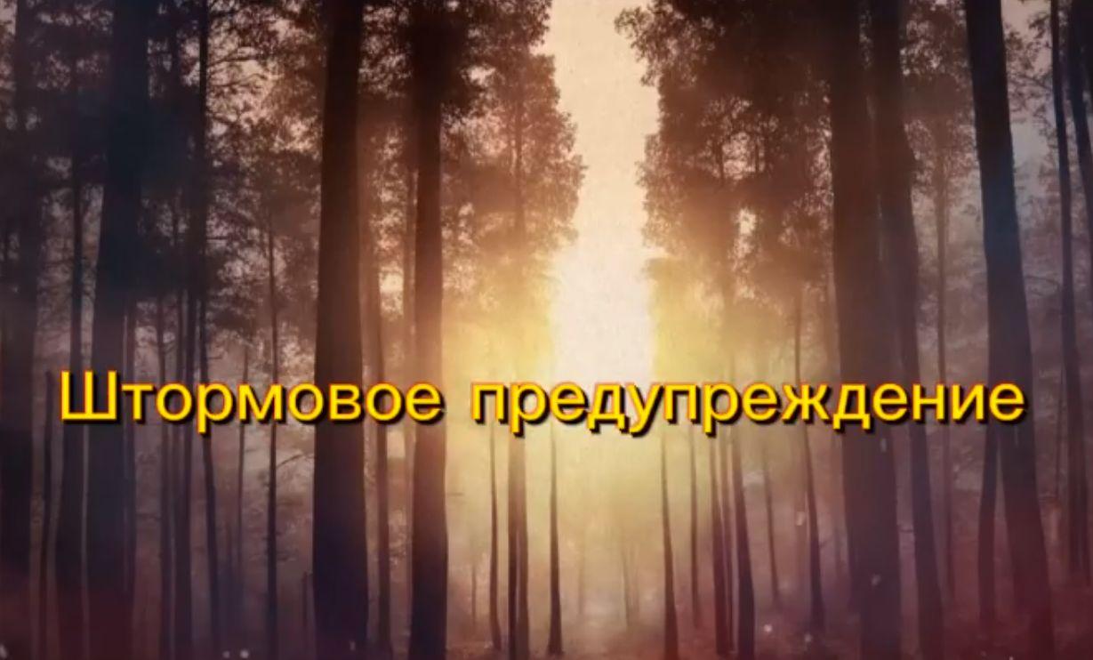 В Краснодарском крае объявлено штормовое предупреждение В Краснодарском крае объявлено штормовое предупреждение