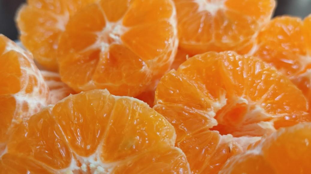 Врач Шелат заявил, что цитрусы и 30 минут упражнений в день помогут предотвратить простуду