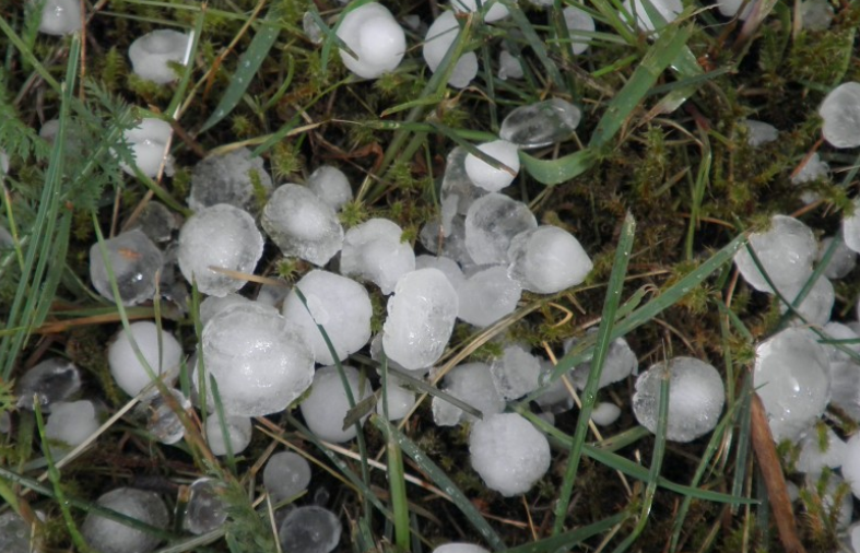 В США «гориллий град» наблюдался в штатах Канзас и Миссури В США «гориллий град» наблюдался в штатах Канзас и Миссури