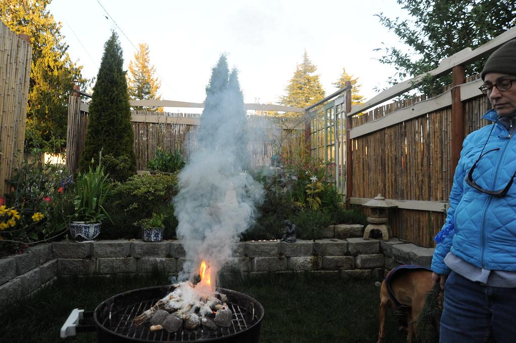 Юрист Коломийцев предупредил дачников о штрафах за санобработку дымлением