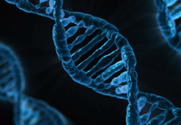 Академик РАН Шабалин заявил о невозможности определить дату смерти в интернете Академик РАН Шабалин заявил о невозможности определить дату смерти в интернете