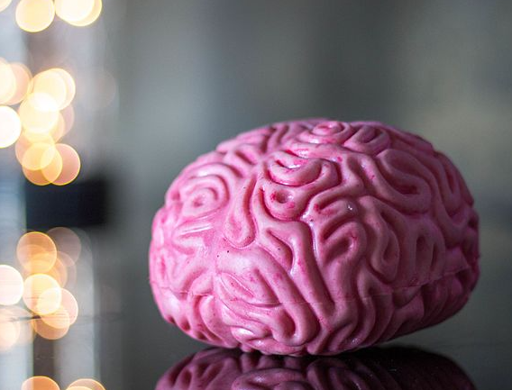 Ученые из Университета Кенхи связали шизофрению с нарушением работы кишечника Ученые из Университета Кенхи связали шизофрению с нарушением работы кишечника