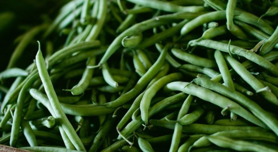 Эксперты рассказали, что фасоль играет важную роль в профилактике рака кишечника