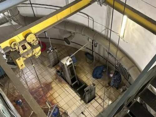 СК возбудил дело после обнаружения в Новой Москве тел двух младенцев (ФОТО)