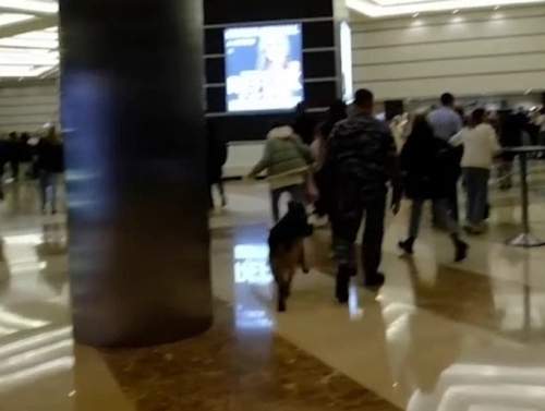 Baza: на эвакуационных выходах в «Крокусе» висели велосипедные замки