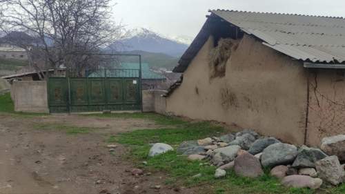 «Он боялся даже птичку обидеть»: мать террориста из «Крокуса» просит его отпустить (ВИДЕО)