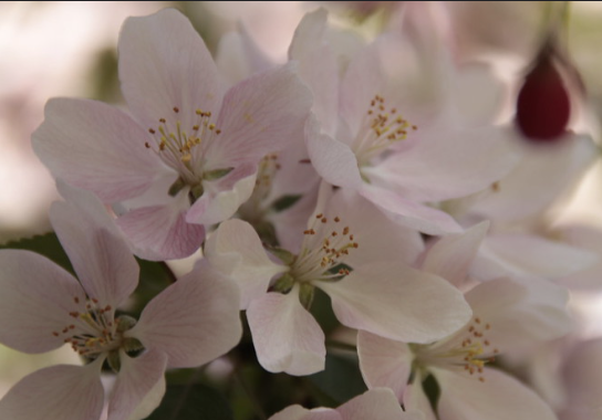 Дарья Грязная: Что можно и нельзя делать 1 апреля