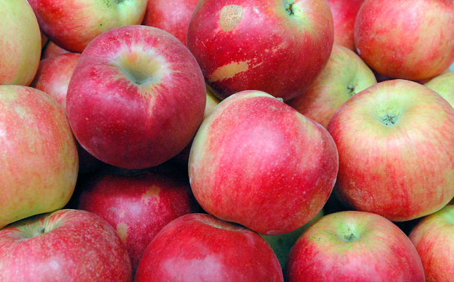 Нутрициолог Ибрагимов заявил, что с аллергией на фруктозу и пектин нельзя есть яблоки Нутрициолог Ибрагимов заявил, что с аллергией на фруктозу и пектин нельзя есть яблоки