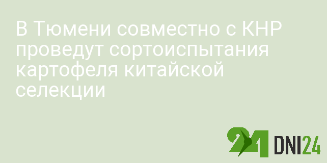 В Тюмени совместно с КНР проведут сортоиспытания картофеля китайской селекции В Тюмени совместно с КНР проведут сортоиспытания картофеля китайской селекции