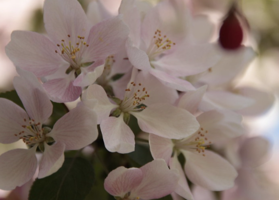 Благовещение: Что можно и нельзя делать 7 апреля