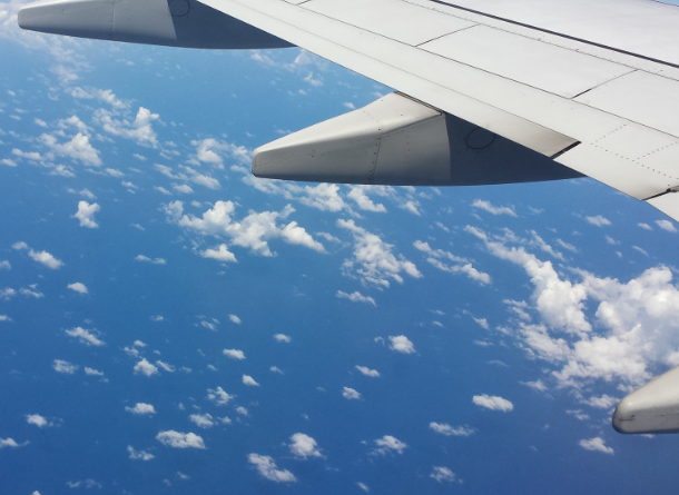 Тревел-блогеры Багров и Гилмор перечислили причины потери багажа в аэропорту